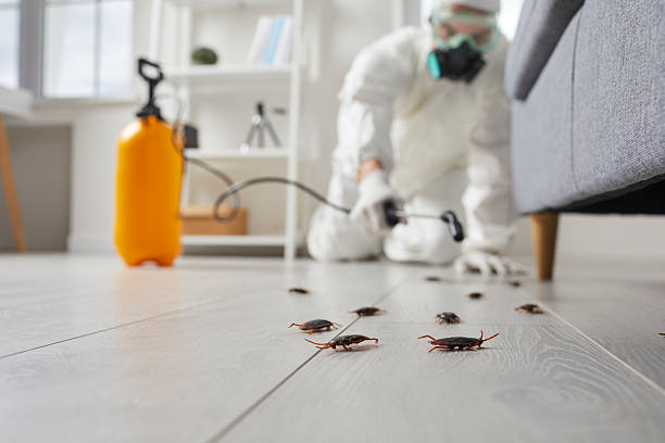 Trusted Fumigation Services service in Fort Montgomery, NY - Nex Pest Control