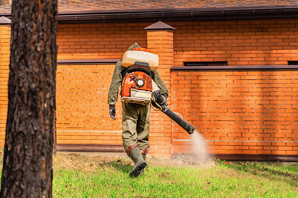 Trusted Rodent Control service in Fort Montgomery, NY - Nex Pest Control